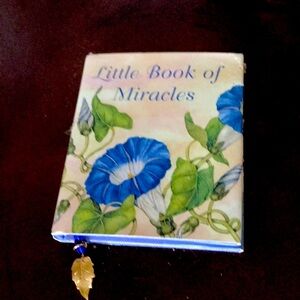 Little Book Morning Glory’s Miracle’s Final Sale